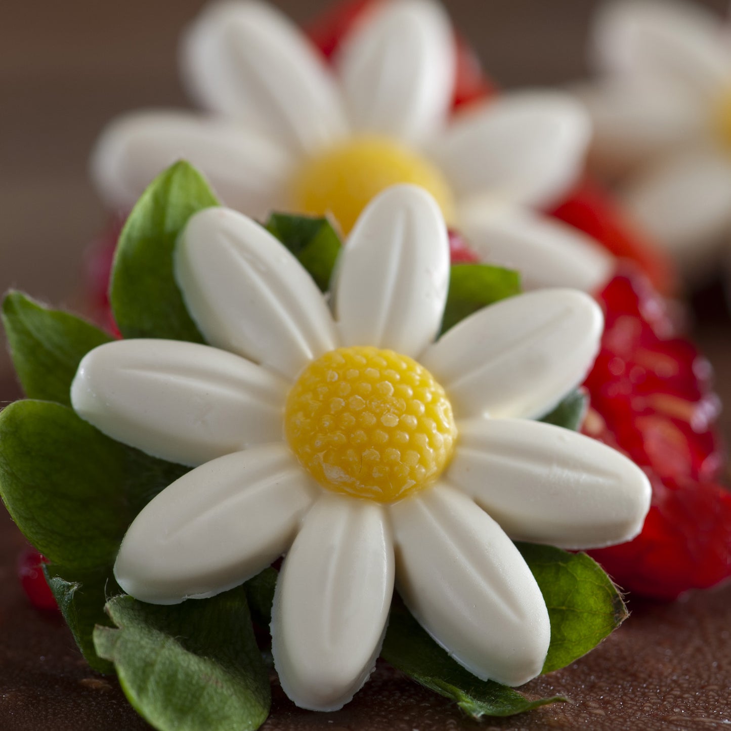 WHITE CHOCOLATE DAISY FLOWER XL Ø 34MM