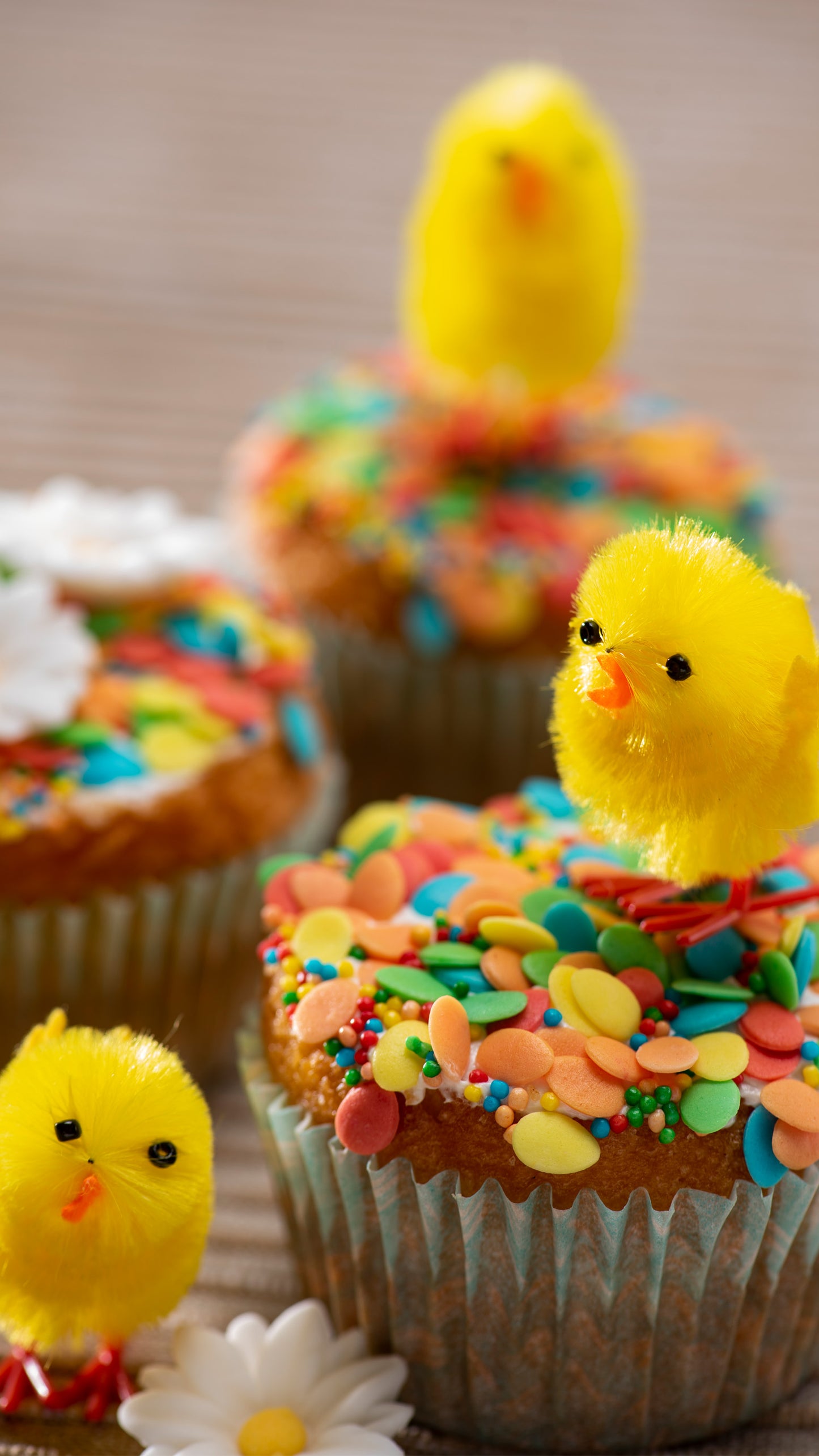 SPRINKLE MIX SUGAR COLOUR EGGS AND NON PAREILS 100GR