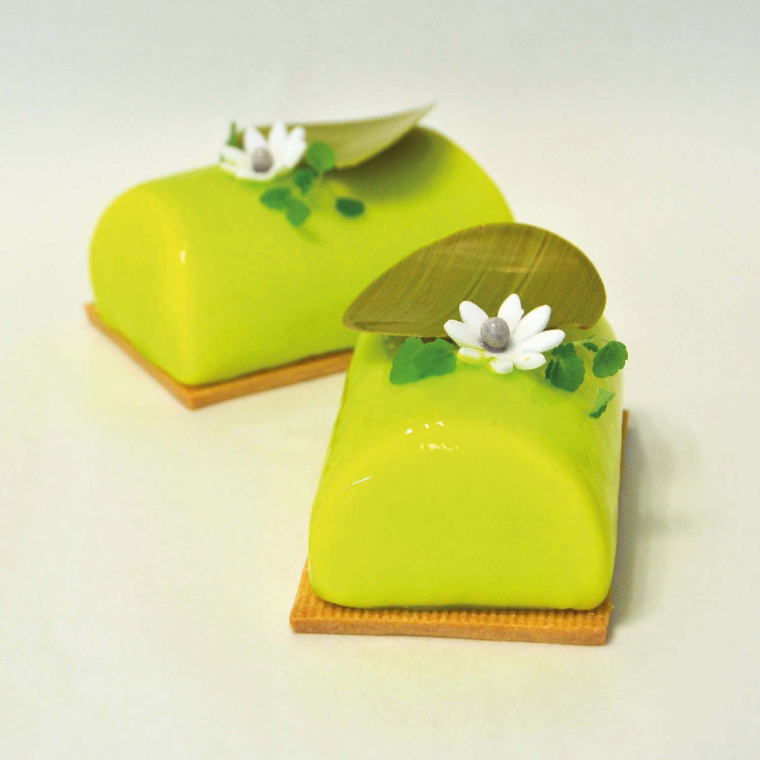 INSPIRATION FLEXIPAN OUTONO MOULD 93X60X40MM 40X30CM