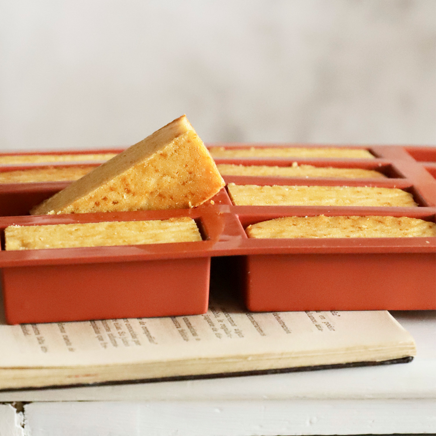 RED SILICON MOULDS FOR CAKES 12