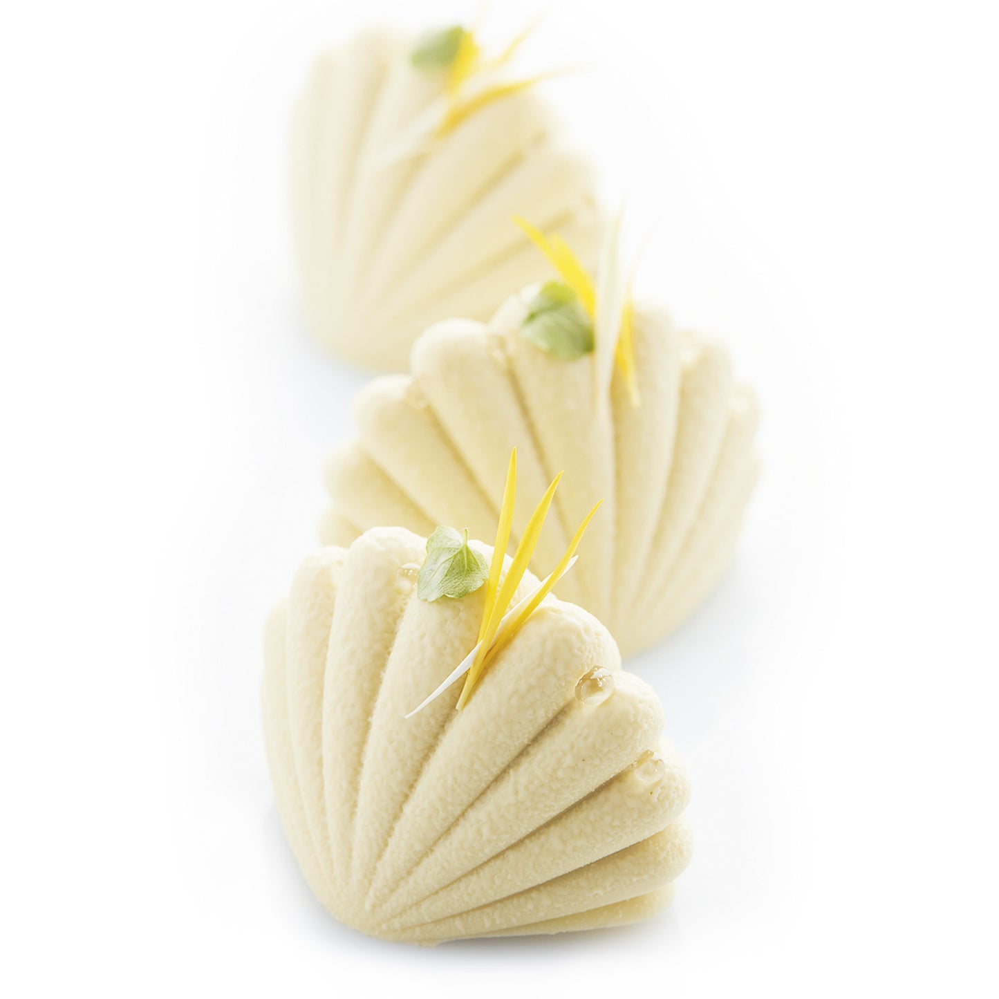 6 STAMPI CALYPSO 79X59 H 54,5 MM