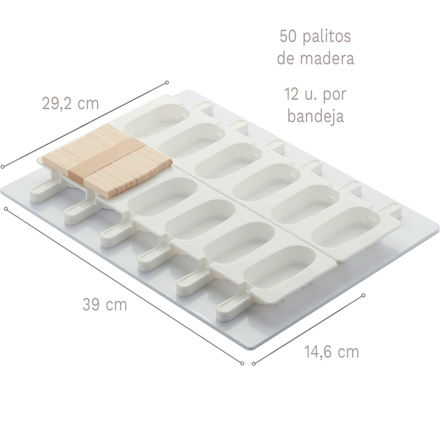  STAMPO PER GELATO CLASSICO - 2 STAMPI 390X146 MM E 50 STECC