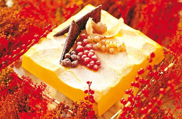 KIT 2 STAMPI SEMIFREDDI GRANDE/PICCOLO