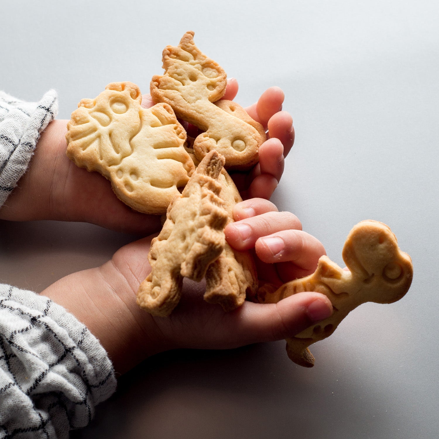 SET 2 CORTADORES DINOSAURIOS