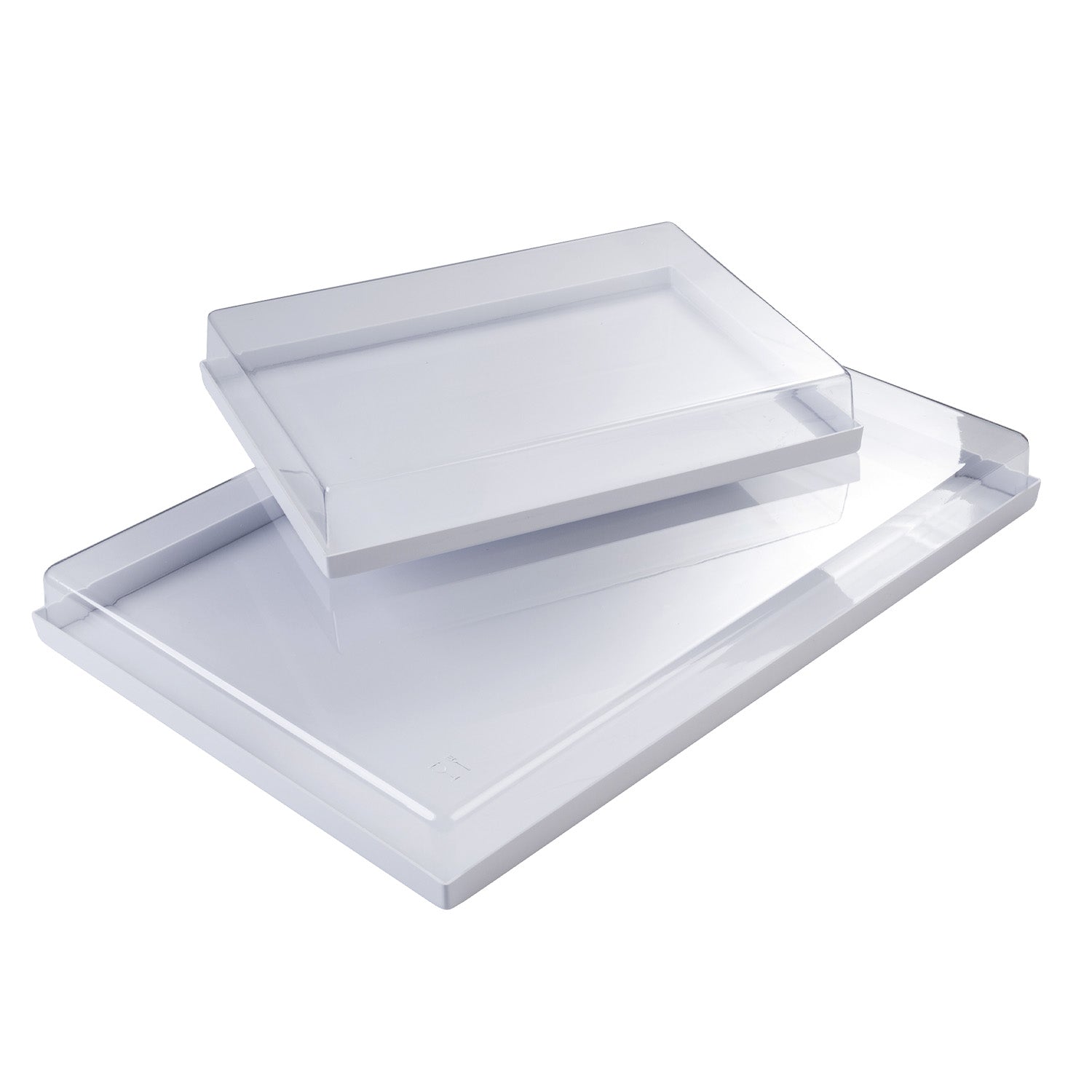 BANDEJA+TAPADERA PLASTICO 60X40X6.2CM