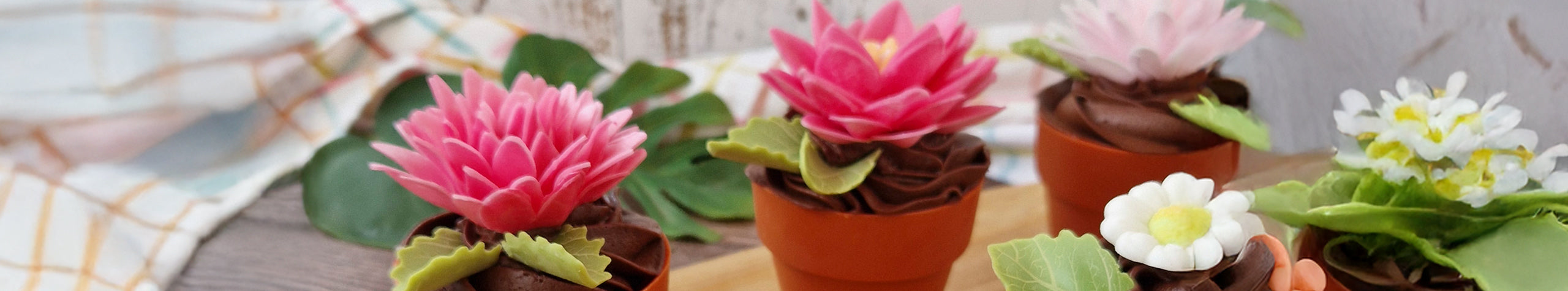 Pots de chocolat et d'amandes